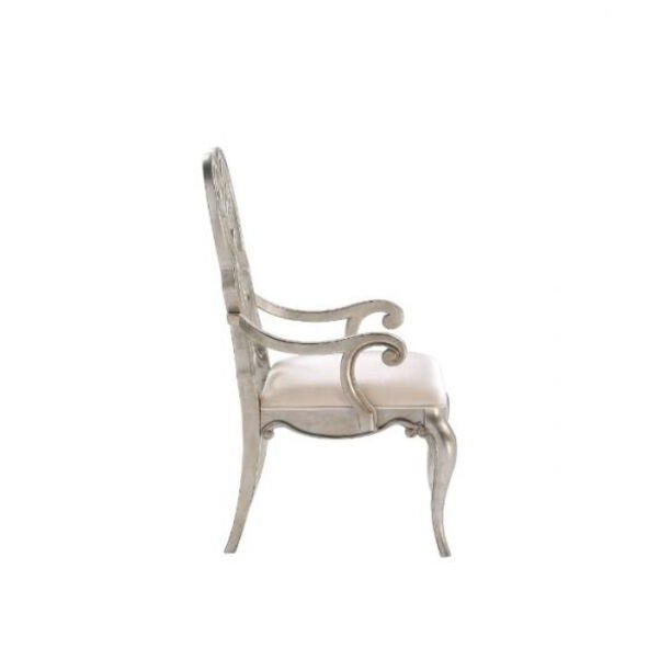 Esteban Arm Chair (Set-2). Picture 4
