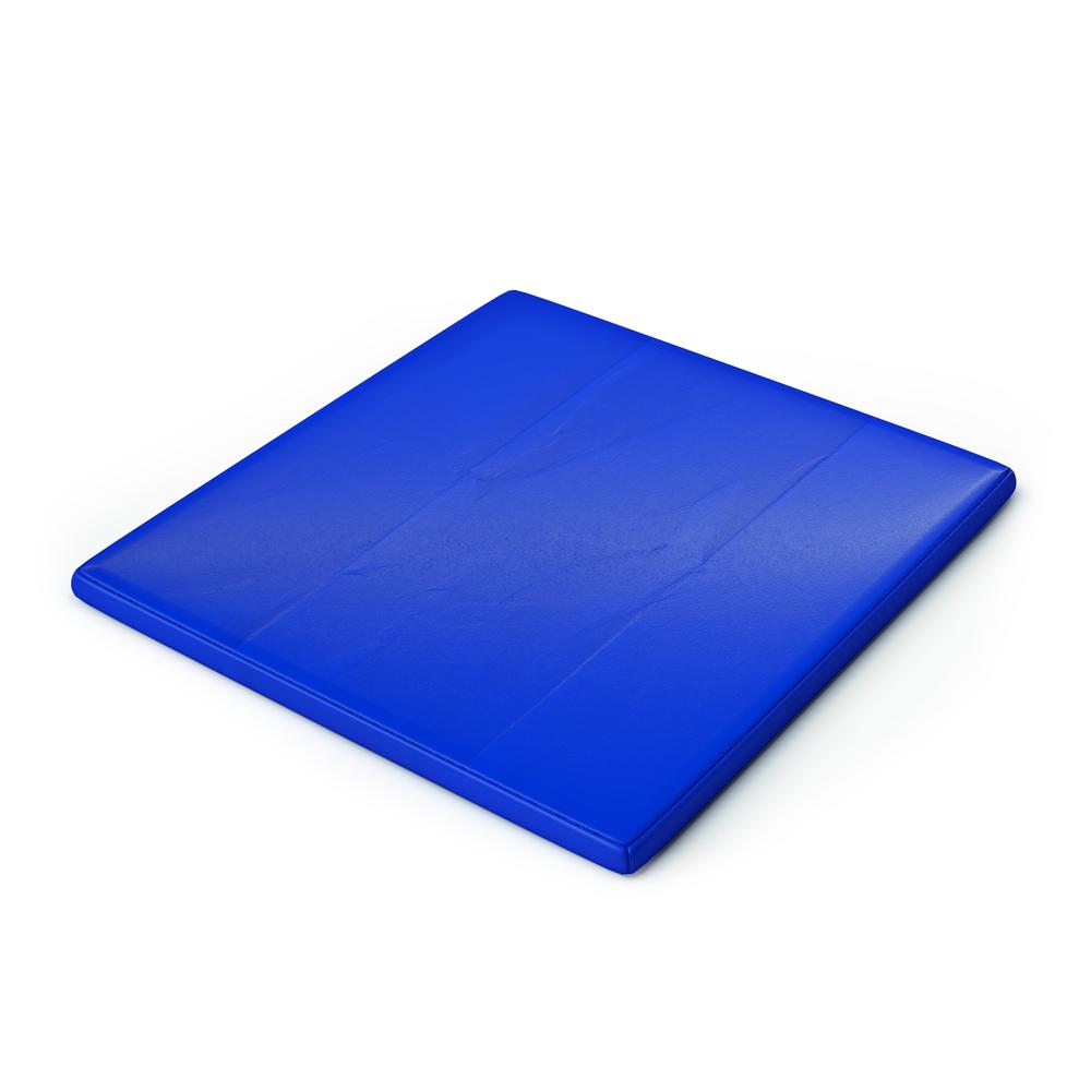 Blue Floor Mat. Picture 2