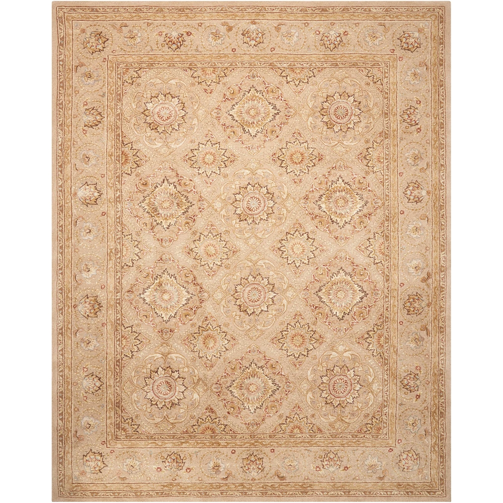 3000 Beige Area Rug. The main picture.