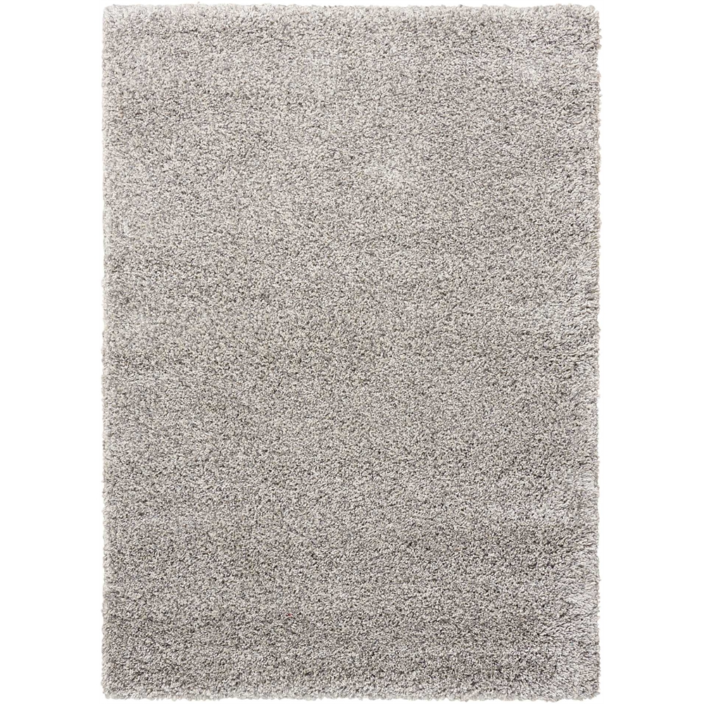 Amore Area Rug, Light Grey, 3'11" x 5'11". The main picture.