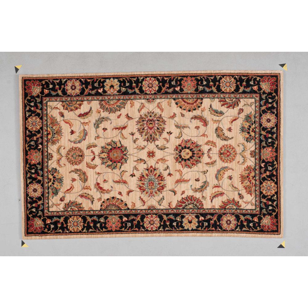 Living Treasures Area Rug, Ivory/Black, 3'6" x 5'6". Picture 1