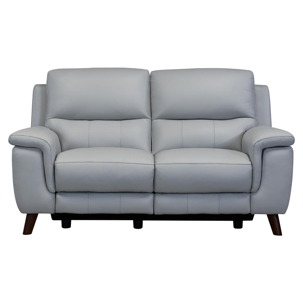Lizette Contemporary Loveseat in Dark Brown Wood Finish and Dove Grey Genuine Leather. Picture 1