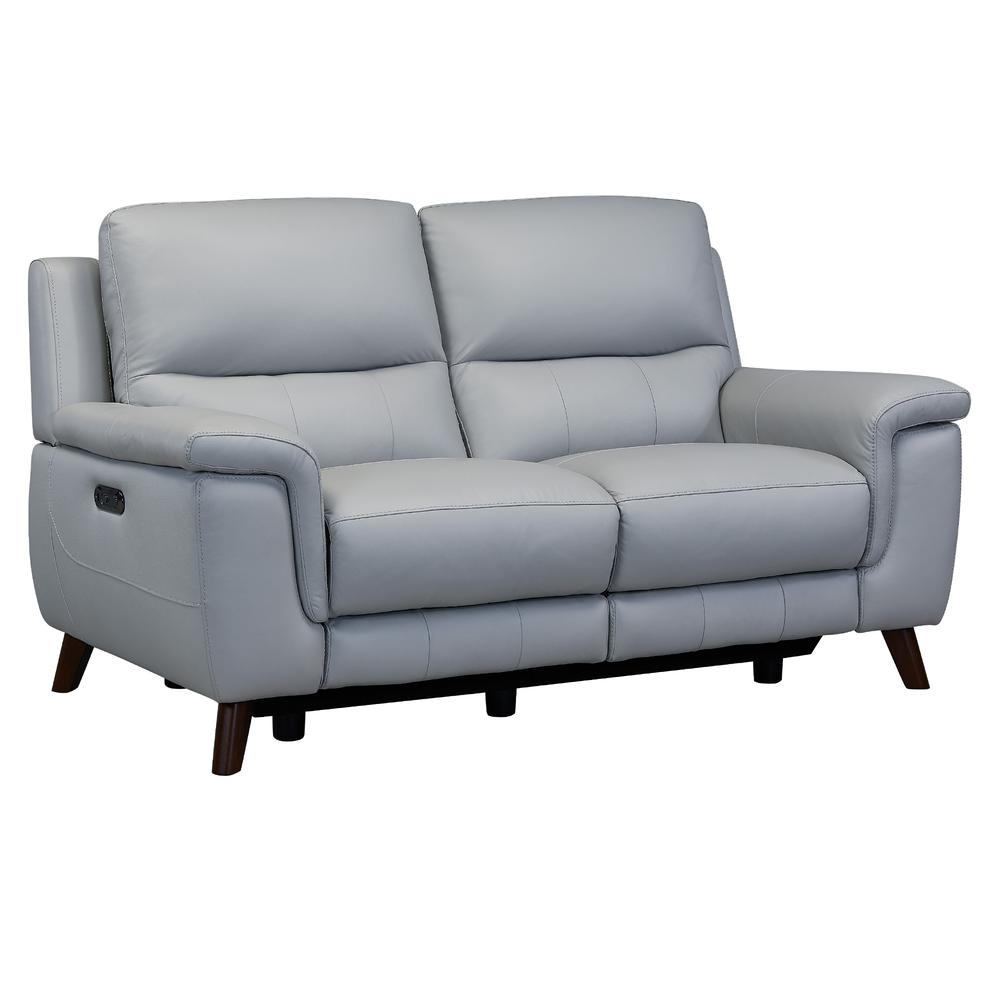 Lizette Contemporary Loveseat in Dark Brown Wood Finish and Dove Grey Genuine Leather. Picture 2
