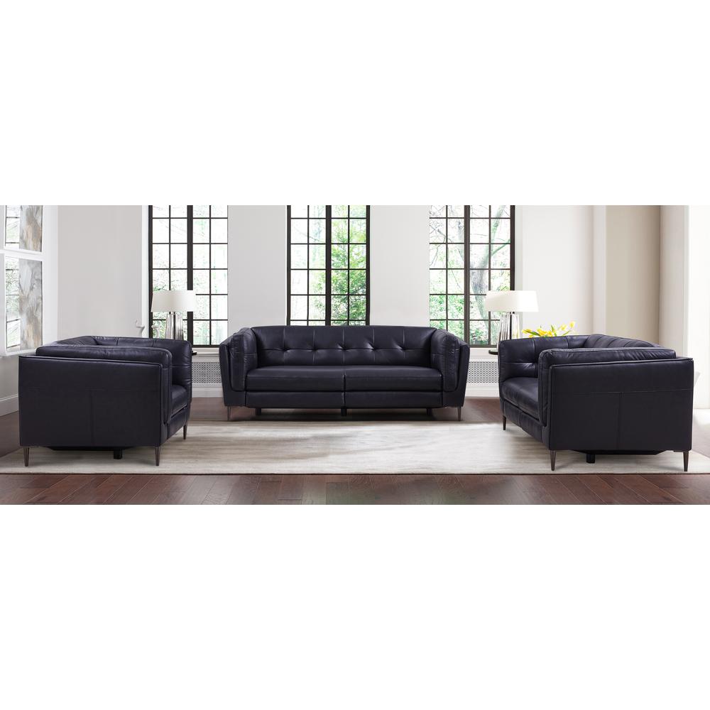 Contemporary Sofa in Dark Metal Finish and Navy Genuine Leather. Picture 10