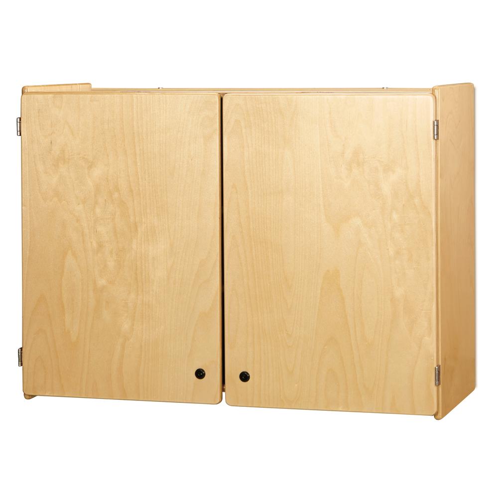 Lockable Wall Cabinet. Picture 1