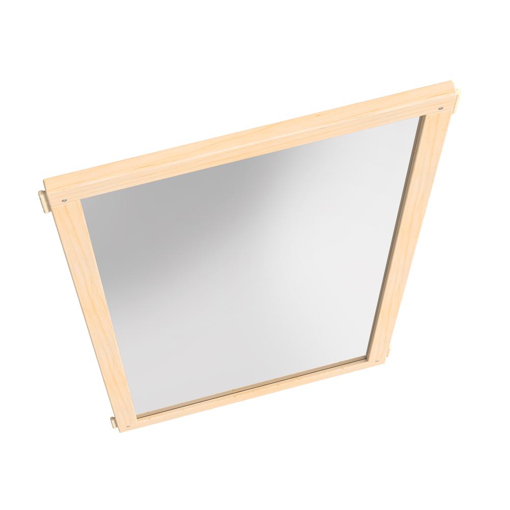 KYDZ Suite® Panel - S-height - 24" Wide - Mirror. Picture 3