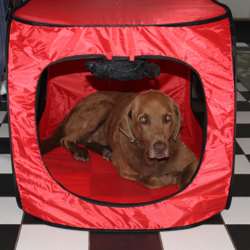 Portable Pop Up Dog Crate-X Large. Picture 3