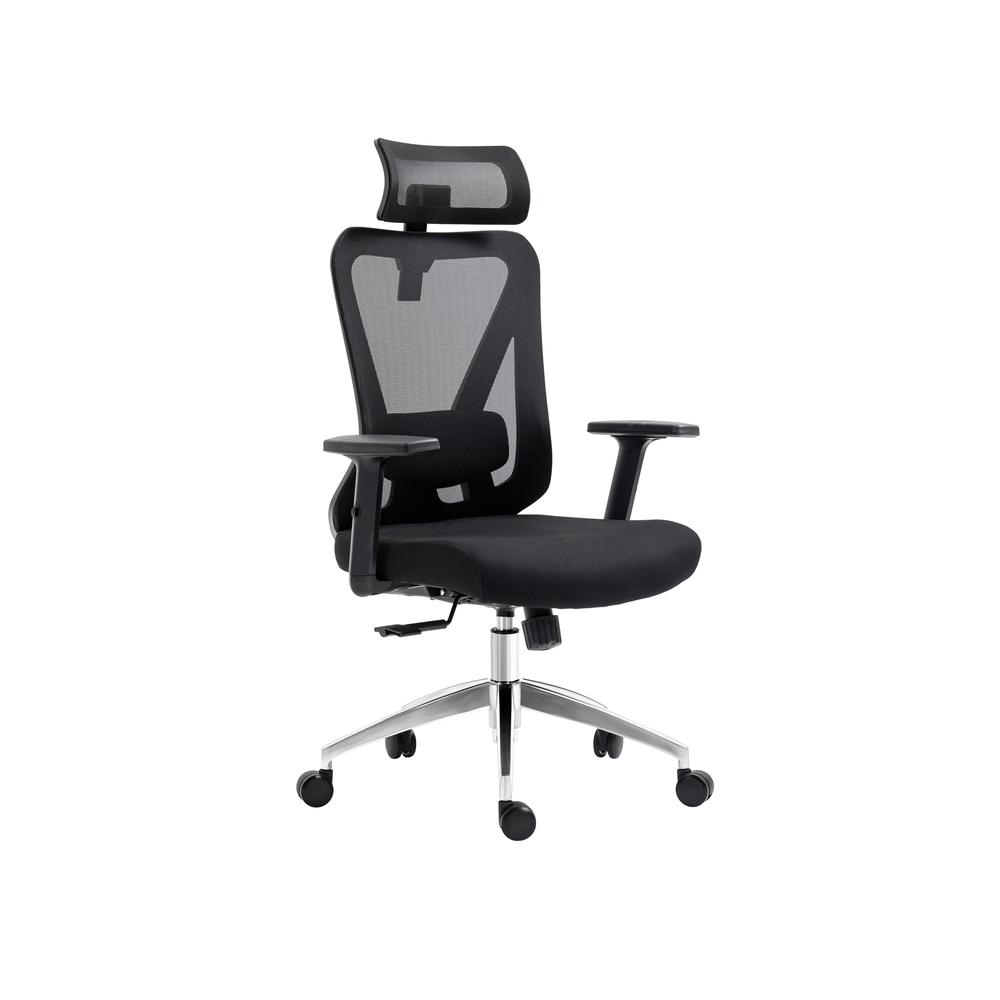 Truly Ergonomic Mesh Office Chair with Headrest & Lumbar Support, Black. Picture 1