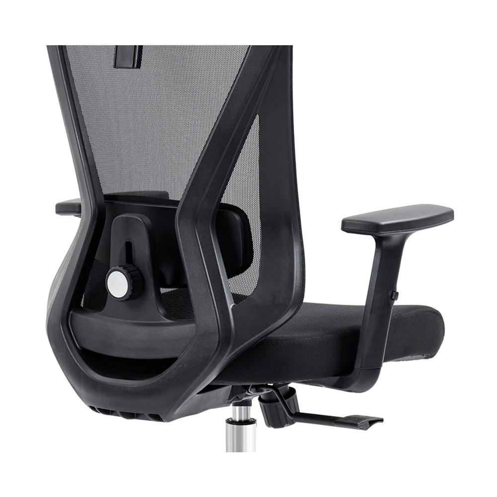 Truly Ergonomic Mesh Office Chair with Headrest & Lumbar Support, Black. Picture 6