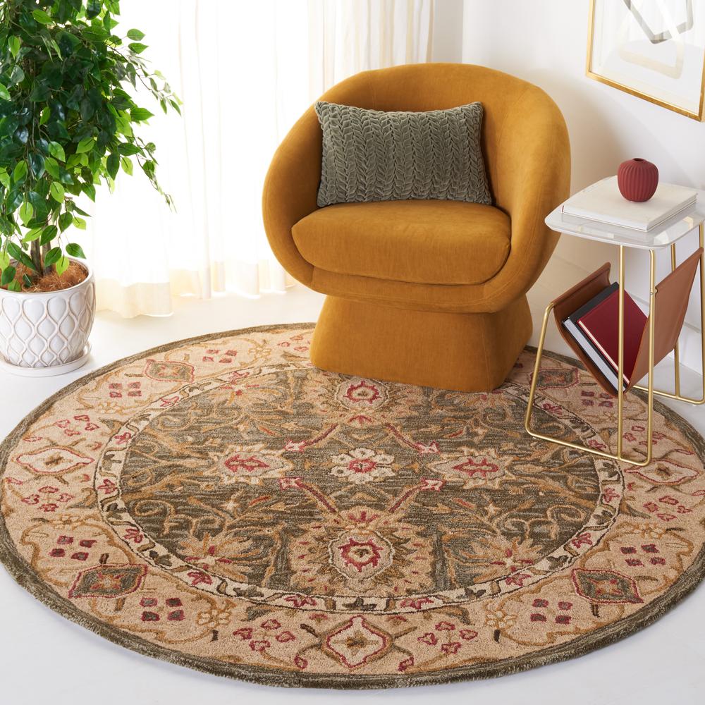 ANATOLIA, BROWN / IVORY, 6' X 6' Round, Area Rug, AN516A-6R. Picture 1