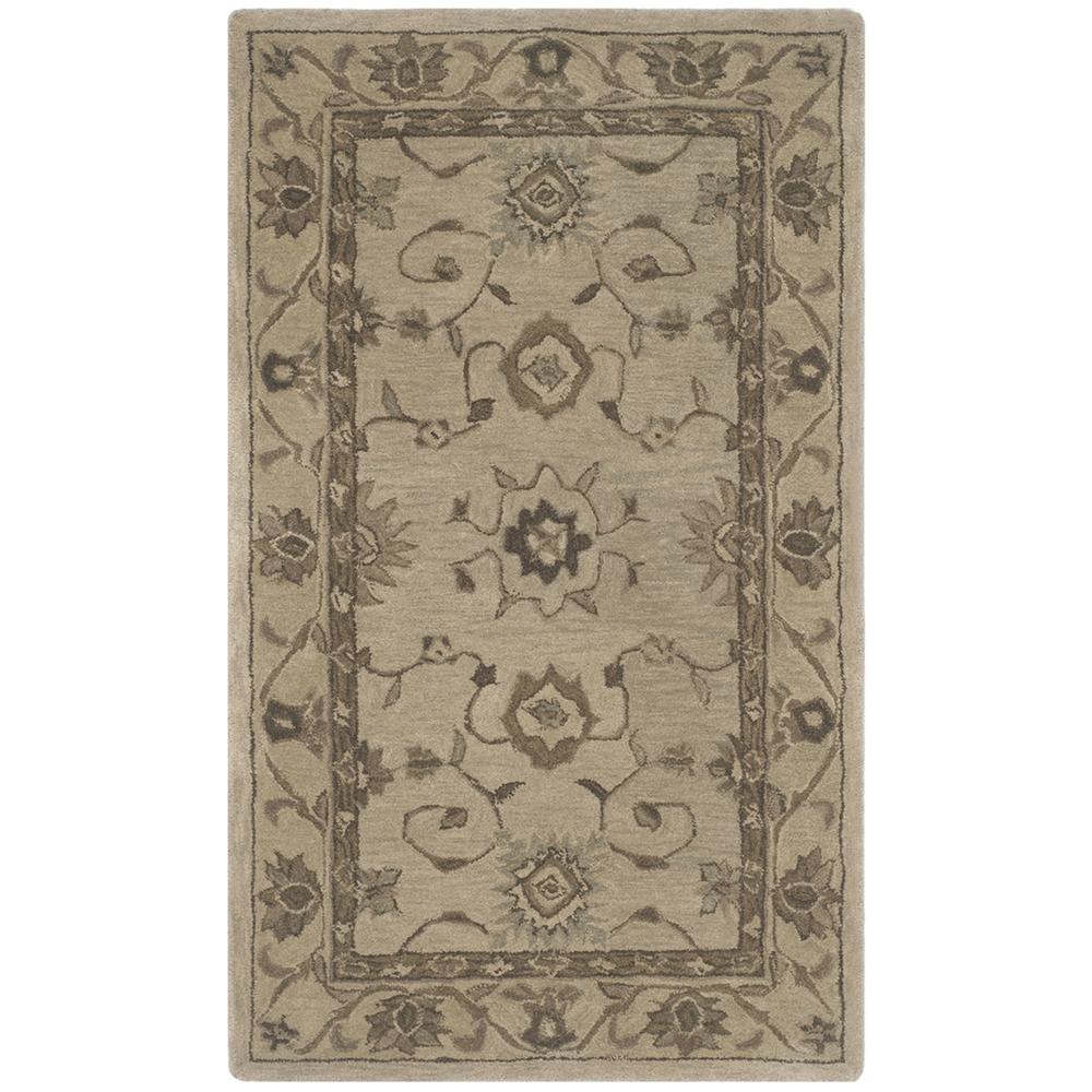 ANATOLIA, BEIGE / BEIGE, 3' X 5', Area Rug, AN586G-3. Picture 1