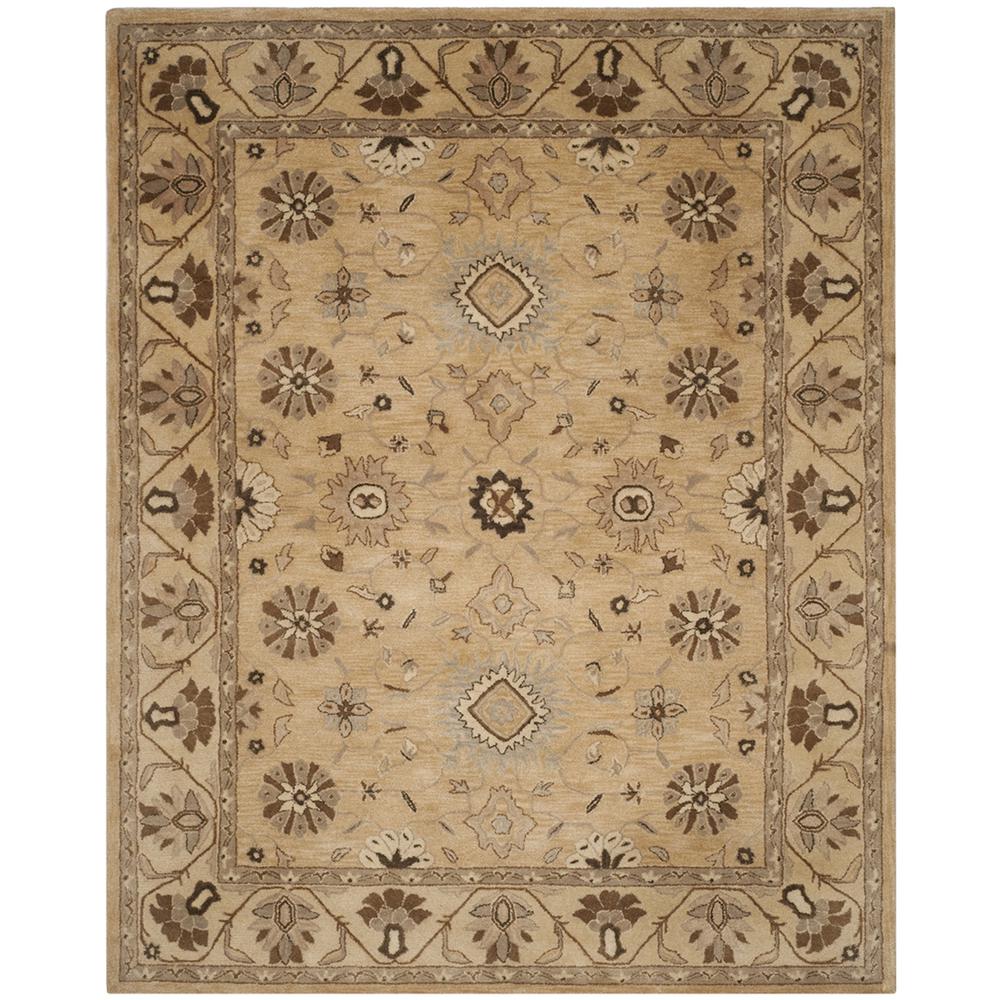 ANATOLIA, BEIGE / BEIGE, 8' X 10', Area Rug, AN586G-8. Picture 1