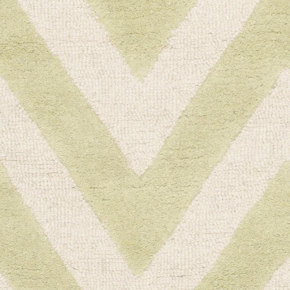 CAMBRIDGE, LIGHT GREEN / IVORY, 4' X 6', Area Rug, CAM139B-4. Picture 2