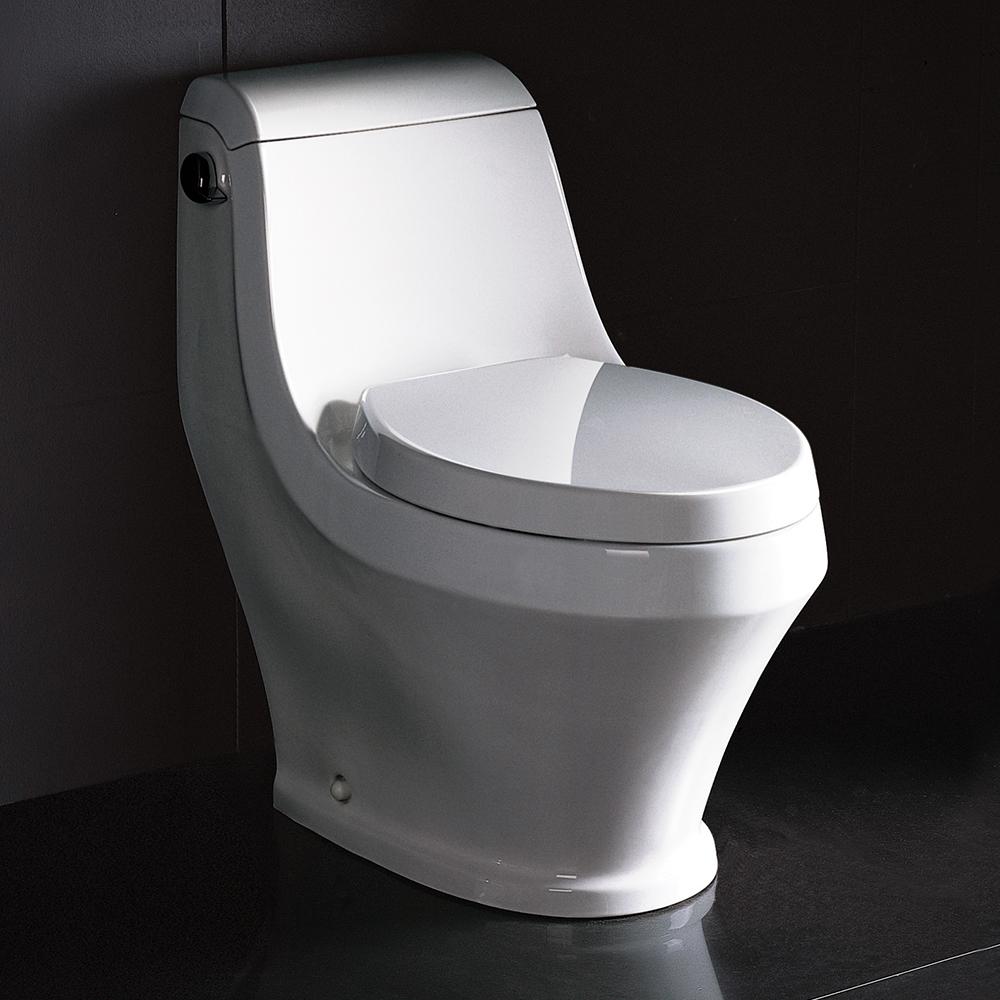 Volna One-Piece Contemporary Toilet. Picture 2