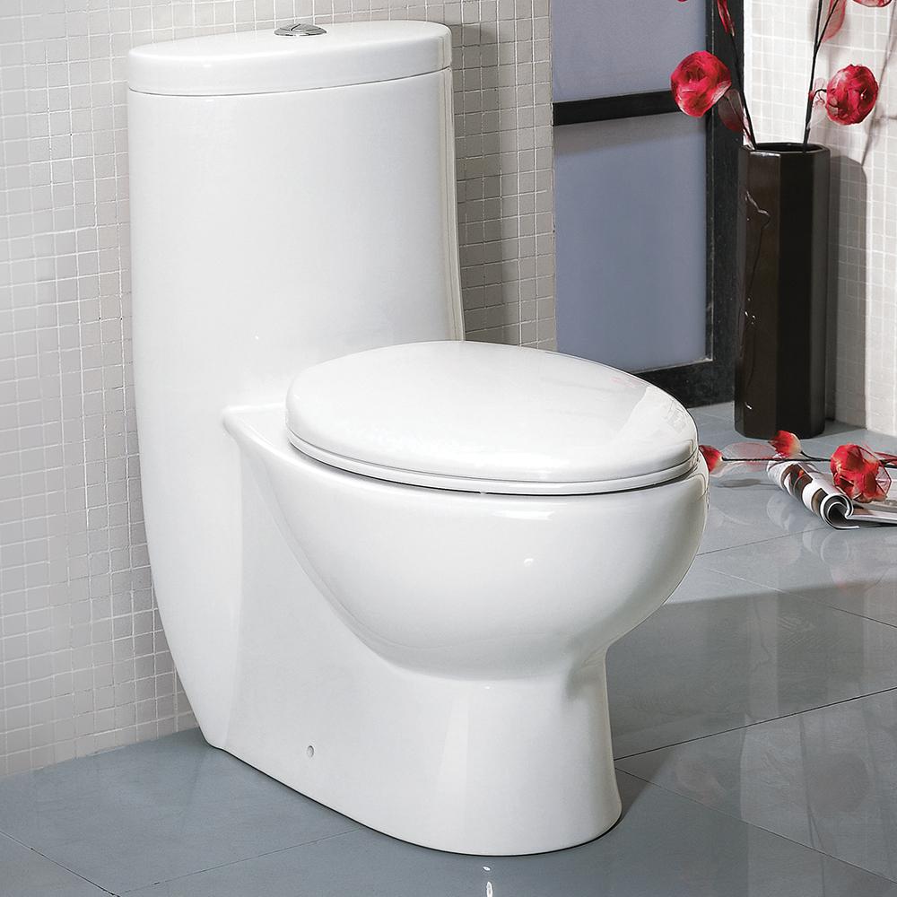 Delphinus One-Piece Dual Flush Toilet w/ Soft Close Seat. Picture 2