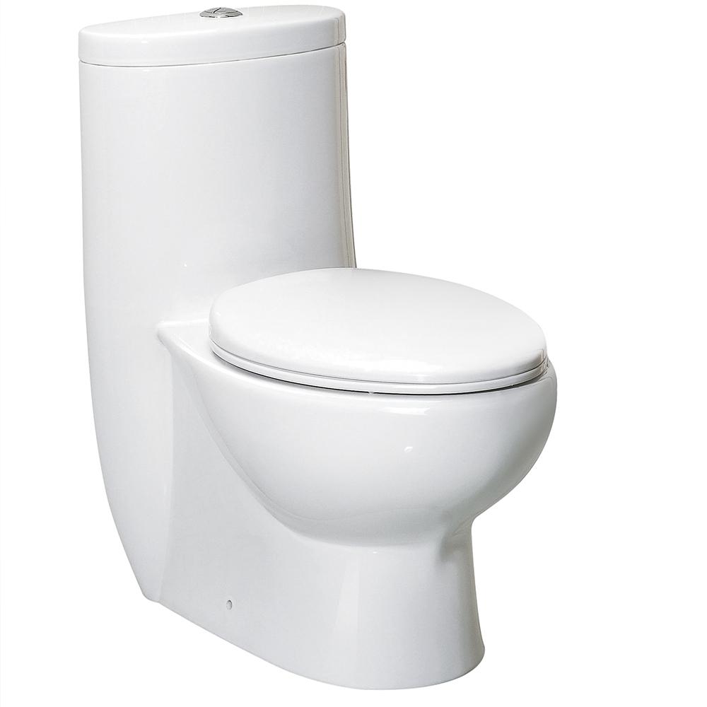 Delphinus One-Piece Dual Flush Toilet w/ Soft Close Seat. The main picture.