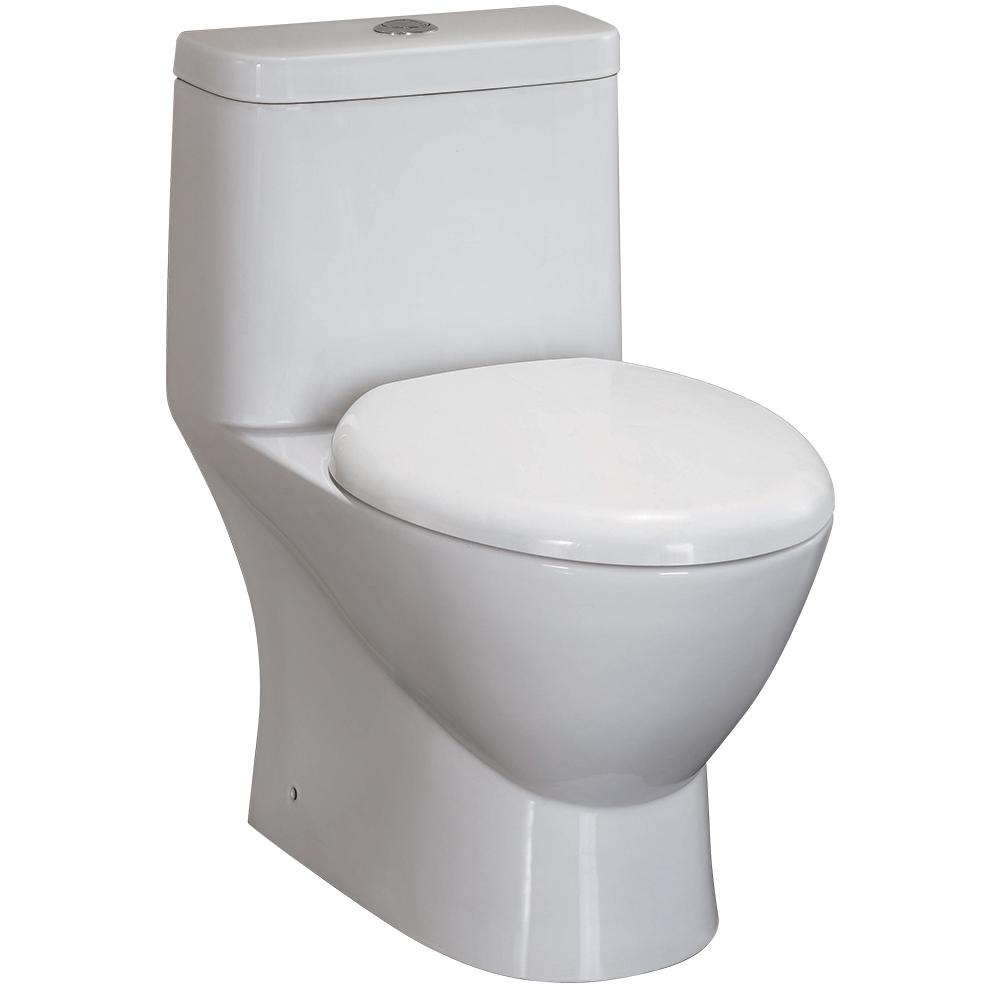 Serena One-Piece Dual Flush Toilet w/ Soft Close Seat. The main picture.