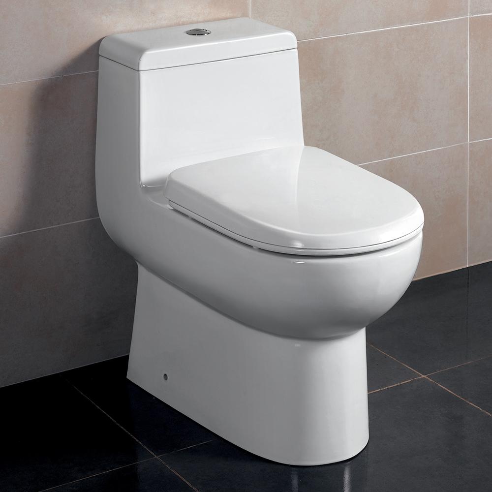 Antila One-Piece Dual Flush Toilet w/ Soft Close Seat. Picture 2
