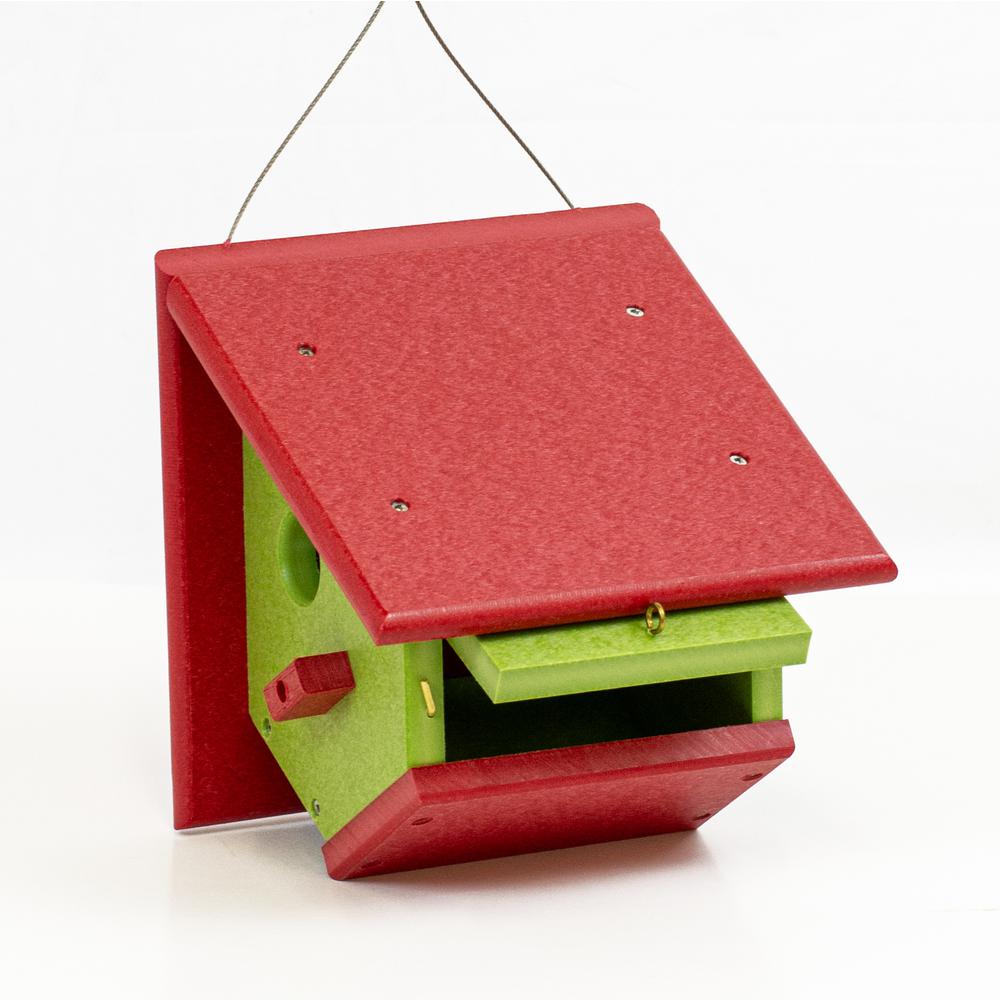 Wren Bird House Made of High Density Poly Resin. Picture 4