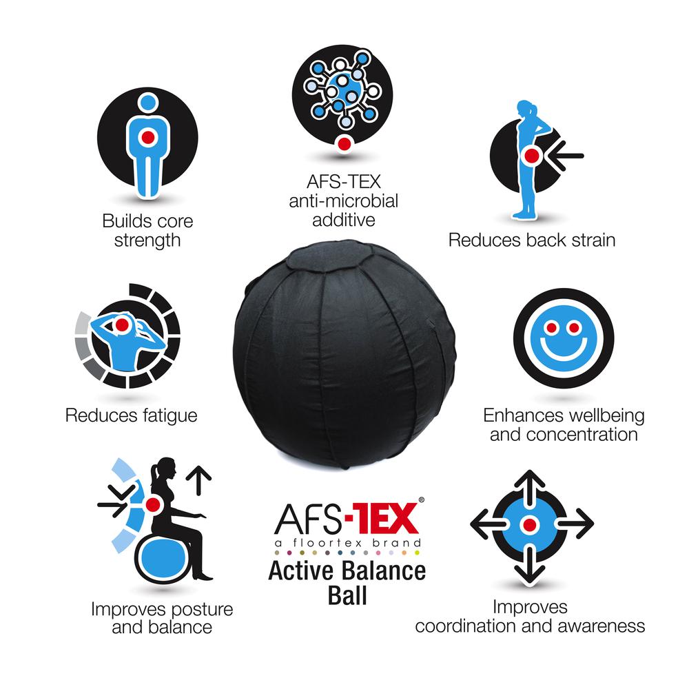 Active Anti-Microbial Large Balance Ball. Picture 9