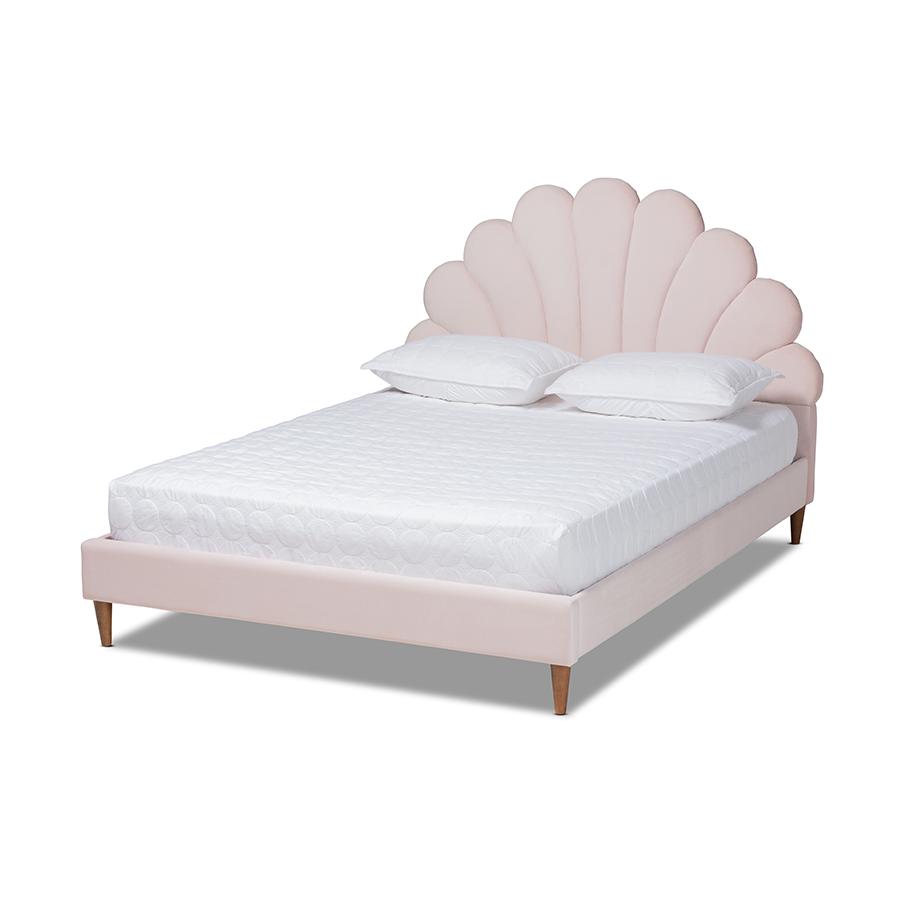 Baxton Studio Odille Modern Glam Light Pink Velvet Upholstered Walnut Brown Finished Wood Queen Size Seashell Shaped Platform Bed. Picture 1