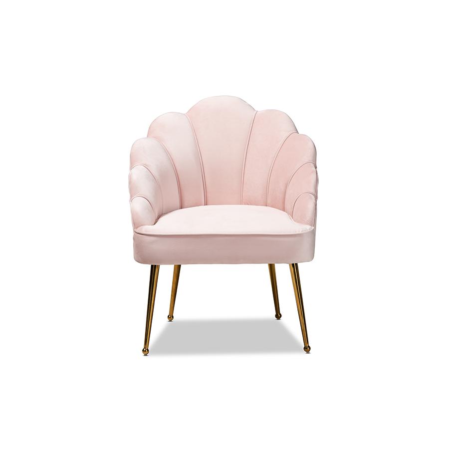 Baxton Studio Cinzia Glam and Luxe Light Pink Velvet Fabric Upholstered Gold Finished Seashell Shaped Accent Chair. Picture 2