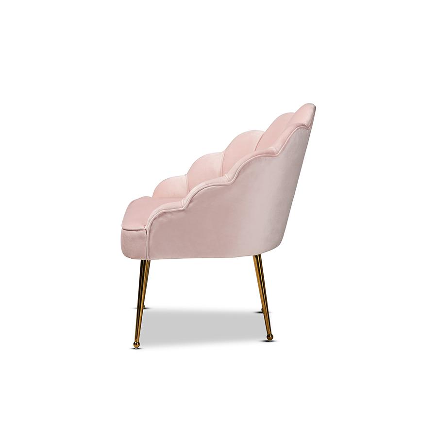 Baxton Studio Cinzia Glam and Luxe Light Pink Velvet Fabric Upholstered Gold Finished Seashell Shaped Accent Chair. Picture 3