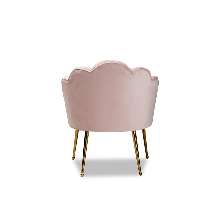 Baxton Studio Cinzia Glam and Luxe Light Pink Velvet Fabric Upholstered Gold Finished Seashell Shaped Accent Chair. Picture 4