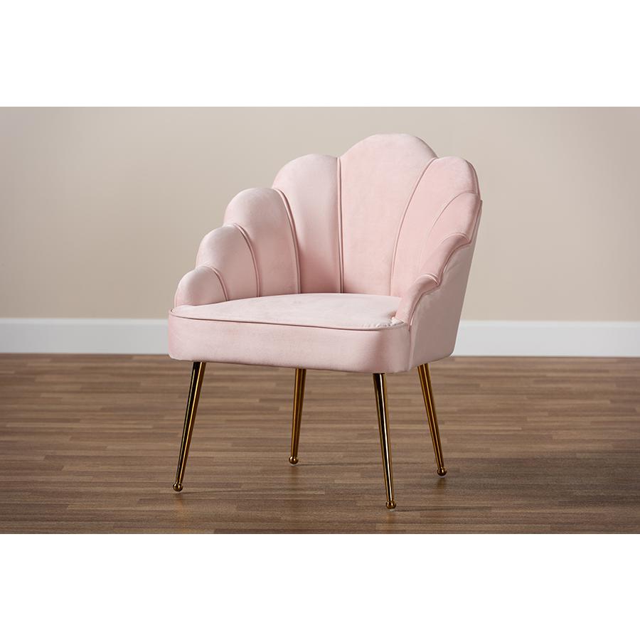 Baxton Studio Cinzia Glam and Luxe Light Pink Velvet Fabric Upholstered Gold Finished Seashell Shaped Accent Chair. Picture 8