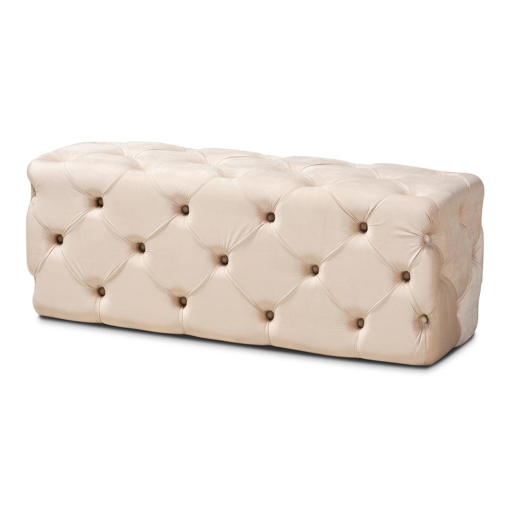 Jasmine Modern Contemporary Glam and Luxe Beige Velvet Fabric Upholstered Button Tufted Bench Ottoman. Picture 2
