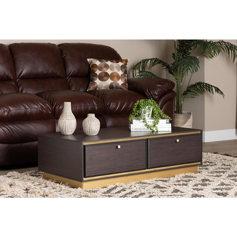 Transitional Dark Brown Finished Wood and Gold Metal 2-Drawer Coffee Table. Picture 8