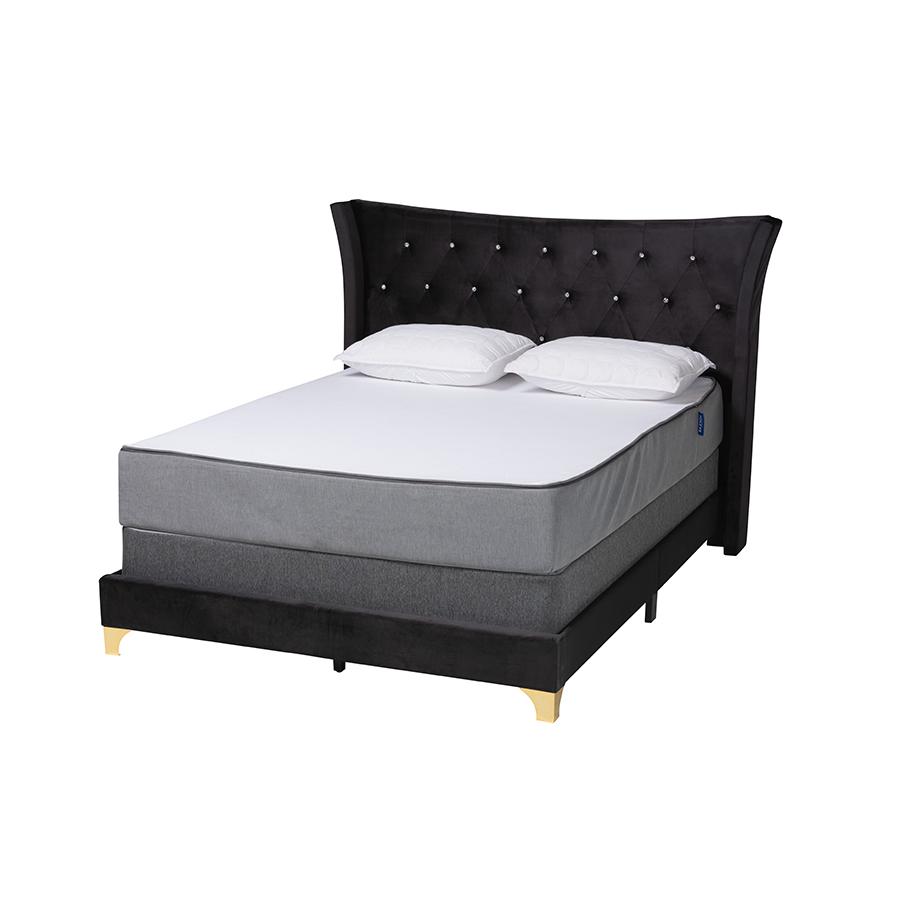 Glam and Luxe Black Velvet and Gold Metal Queen Size Panel Bed. Picture 1