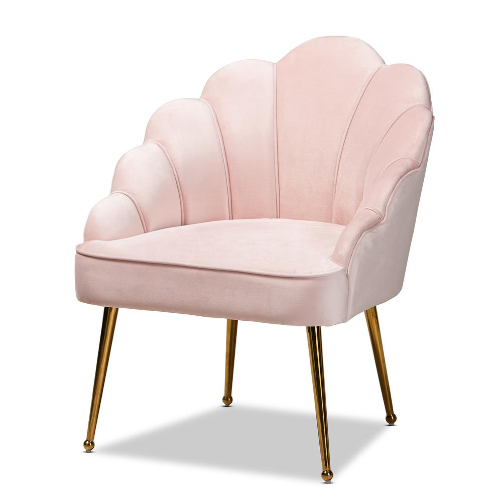 Baxton Studio Cinzia Glam and Luxe Light Pink Velvet Fabric Upholstered Gold Finished Seashell Shaped Accent Chair. Picture 11