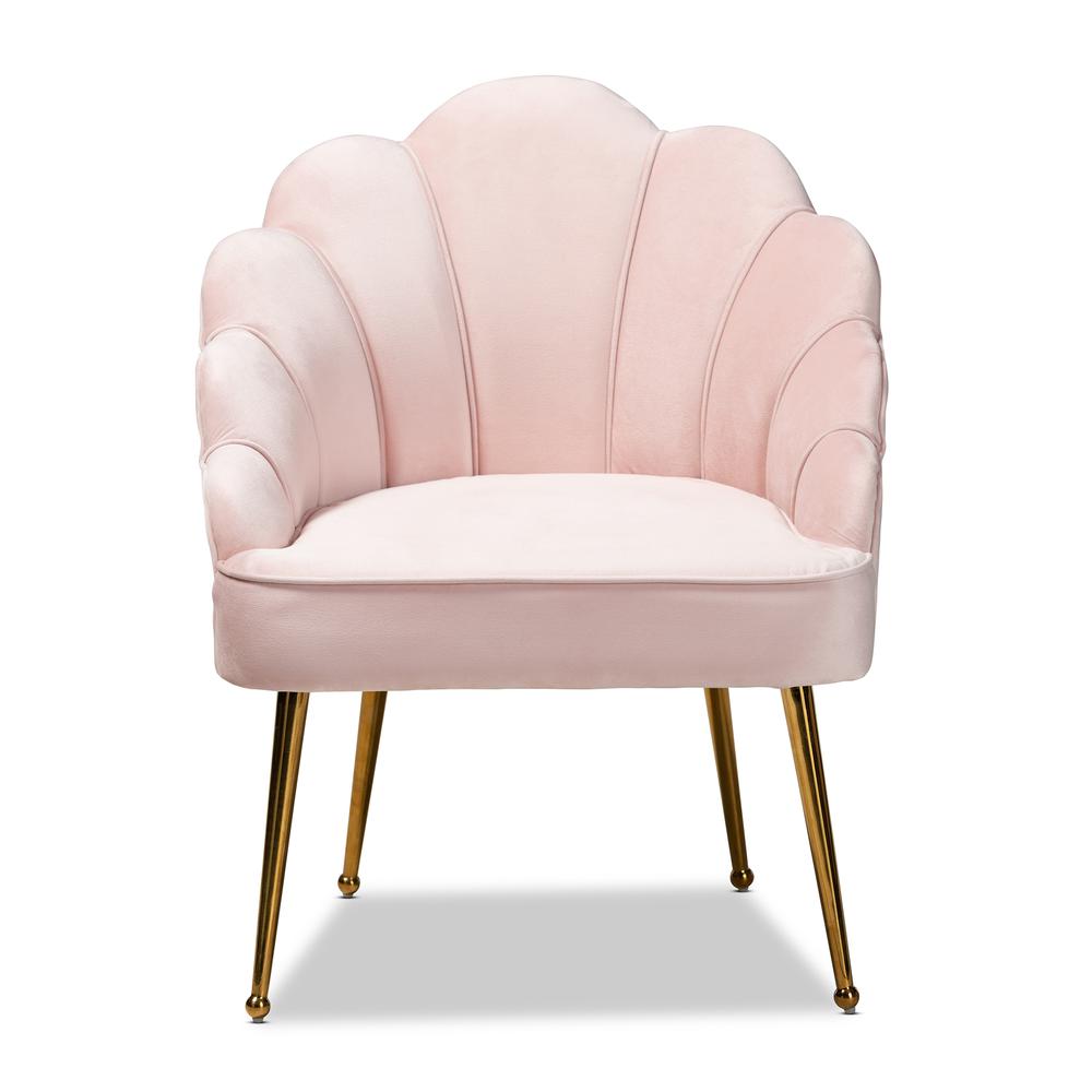 Baxton Studio Cinzia Glam and Luxe Light Pink Velvet Fabric Upholstered Gold Finished Seashell Shaped Accent Chair. Picture 12