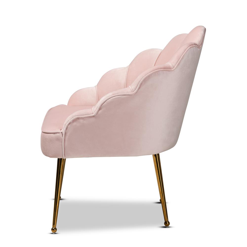 Baxton Studio Cinzia Glam and Luxe Light Pink Velvet Fabric Upholstered Gold Finished Seashell Shaped Accent Chair. Picture 13