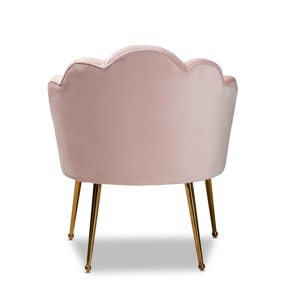 Baxton Studio Cinzia Glam and Luxe Light Pink Velvet Fabric Upholstered Gold Finished Seashell Shaped Accent Chair. Picture 14
