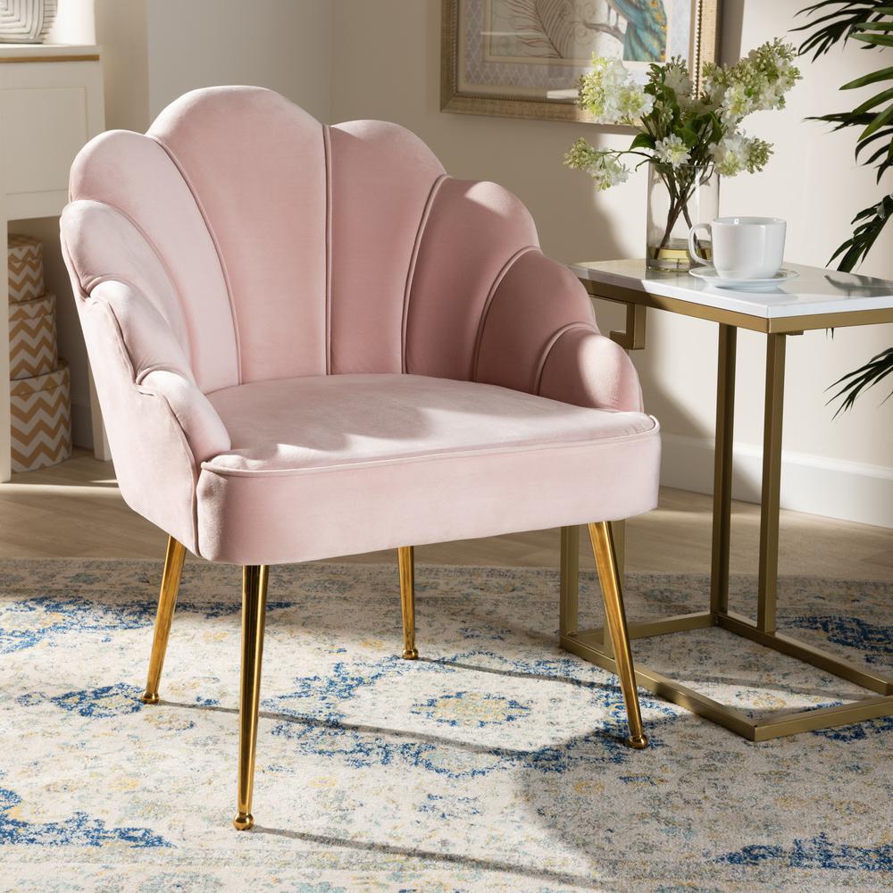 Baxton Studio Cinzia Glam and Luxe Light Pink Velvet Fabric Upholstered Gold Finished Seashell Shaped Accent Chair. Picture 10