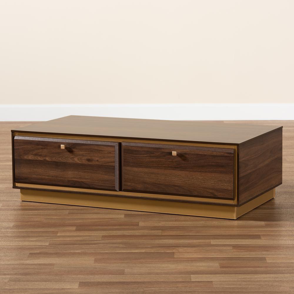 Transitional Walnut Brown Finished Wood and Gold Metal 2-Drawer Coffee Table. Picture 18