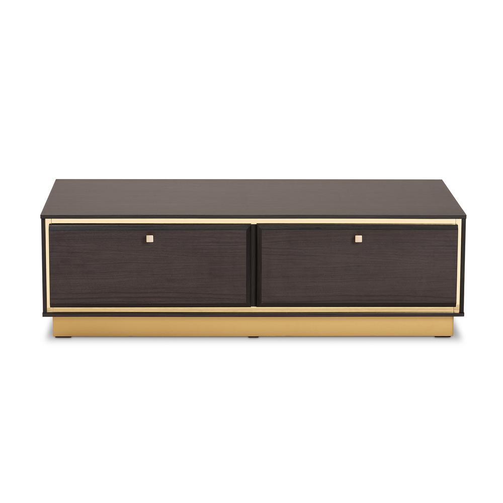 Transitional Dark Brown Finished Wood and Gold Metal 2-Drawer Coffee Table. Picture 12