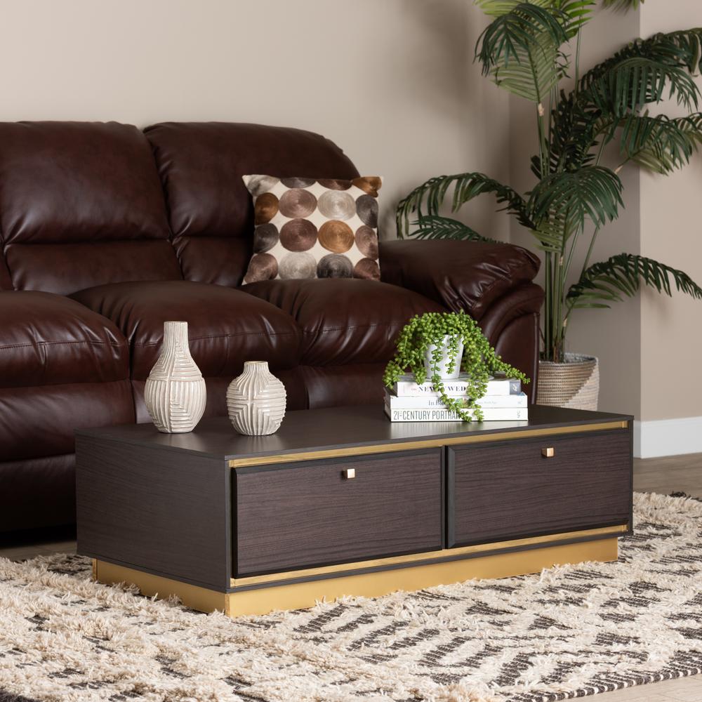 Transitional Dark Brown Finished Wood and Gold Metal 2-Drawer Coffee Table. Picture 17