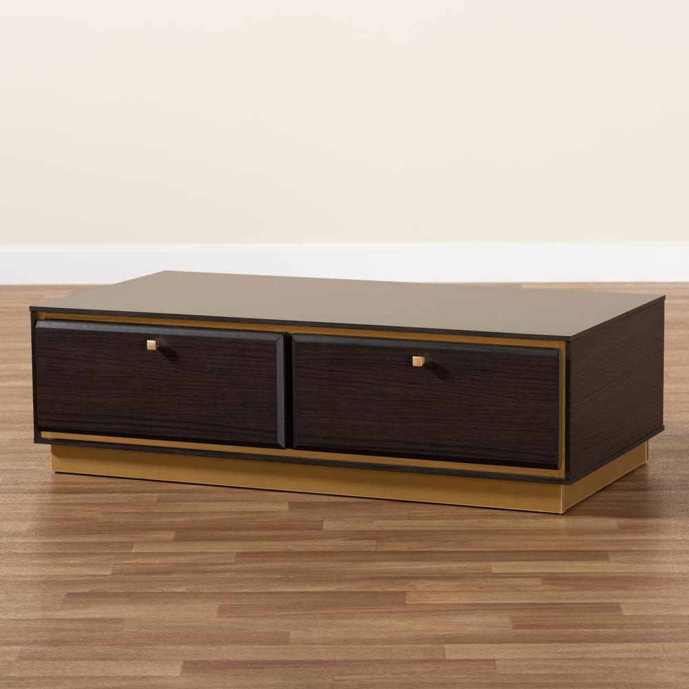 Transitional Dark Brown Finished Wood and Gold Metal 2-Drawer Coffee Table. Picture 18