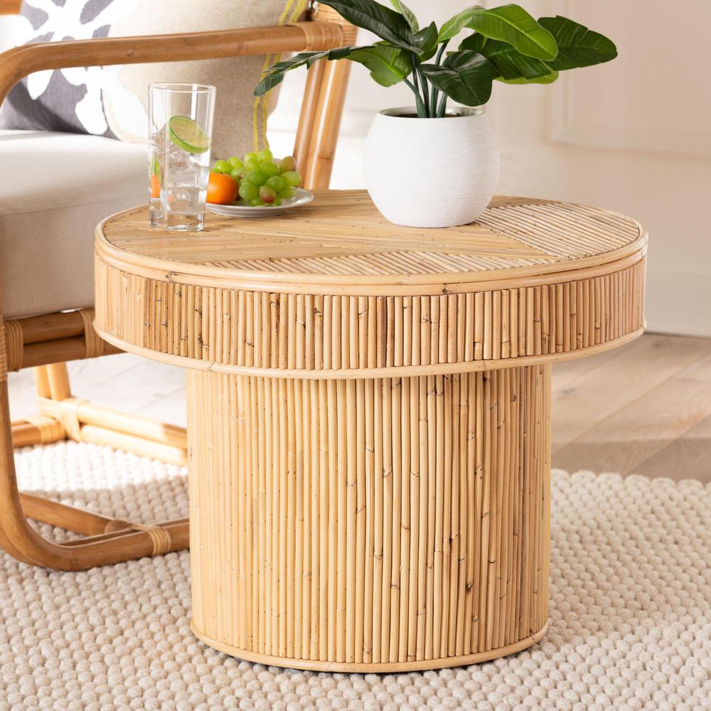 Iryna Modern Bohemian Natural Rattan End Table. Picture 14