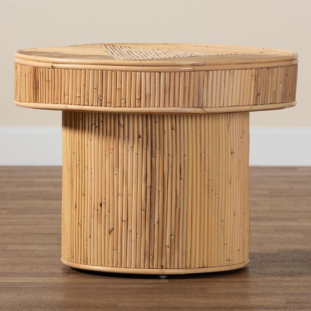 Iryna Modern Bohemian Natural Rattan End Table. Picture 15