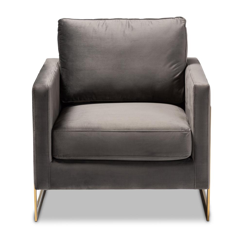 Matteo Glam and Luxe Grey Velvet Fabric Upholstered Gold Finished Armchair. Picture 11