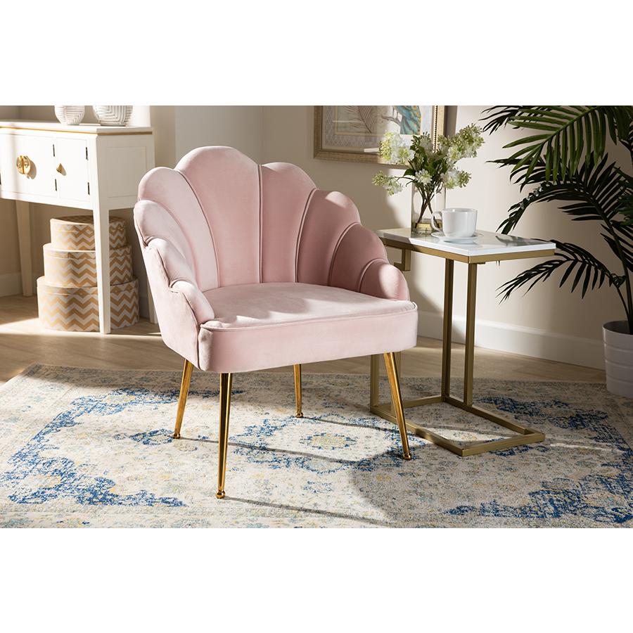 Baxton Studio Cinzia Glam and Luxe Light Pink Velvet Fabric Upholstered Gold Finished Seashell Shaped Accent Chair. Picture 17
