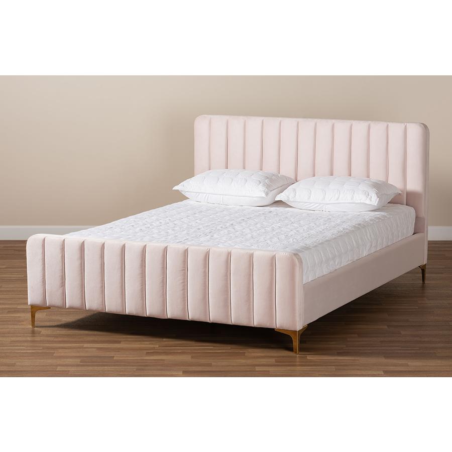 Nami Modern Contemporary Glam and Luxe Light Pink Velvet Fabric Upholstered and Gold Finished King Size Platform Bed. Picture 7