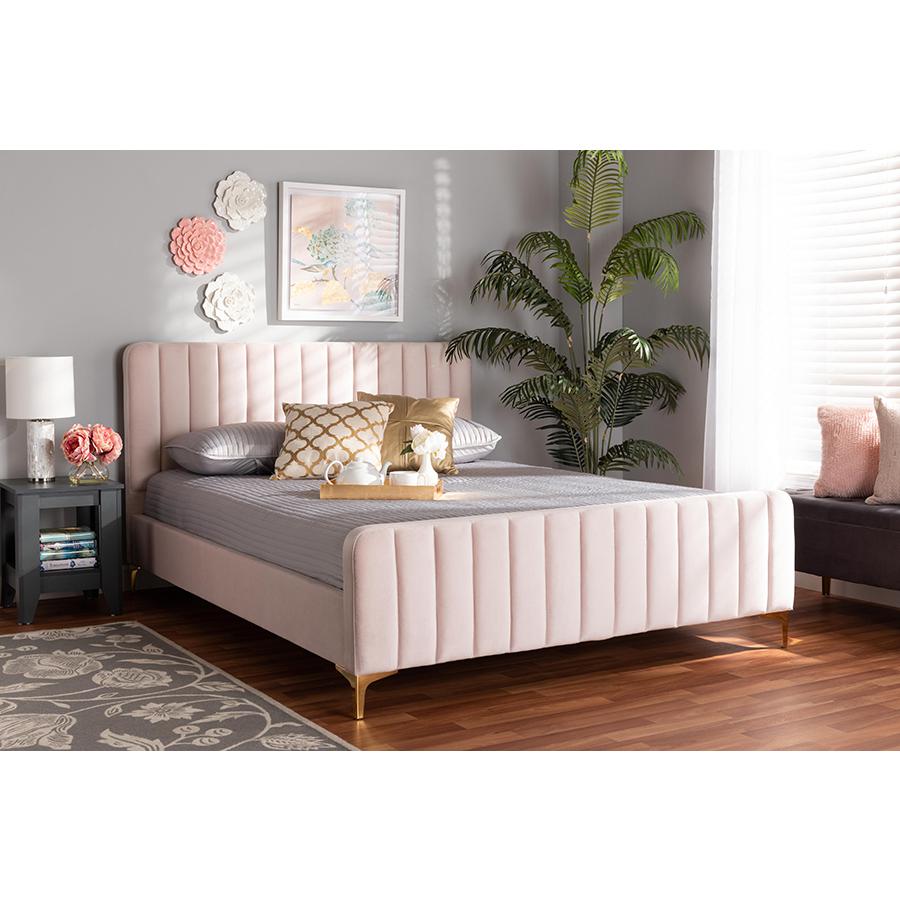 Nami Modern Contemporary Glam and Luxe Light Pink Velvet Fabric Upholstered and Gold Finished King Size Platform Bed. Picture 11