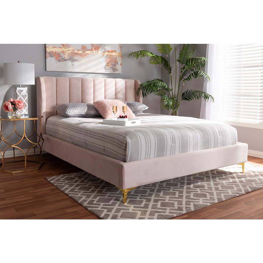 Baxton Studio Saverio Glam and Luxe Light Pink Velvet Fabric Upholstered Queen Size Platform Bed with Gold-Tone Legs. Picture 6