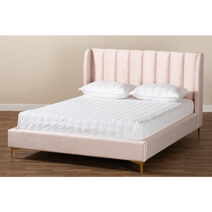 Baxton Studio Saverio Glam and Luxe Light Pink Velvet Fabric Upholstered Queen Size Platform Bed with Gold-Tone Legs. Picture 7