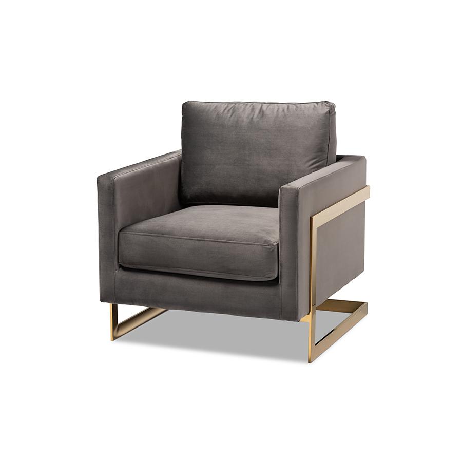 Matteo Glam and Luxe Grey Velvet Fabric Upholstered Gold Finished Armchair. Picture 1